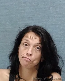 Mugshot of MELISSA ANN LAMENZA booked in Stark County, Ohio on July 6, 2026