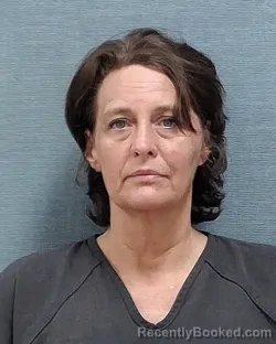 Mugshot of KERRI LYNN BISHMAN booked in Stark County, Ohio on June 28, 2026