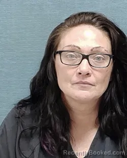 Mugshot of CHRISTINE NICHOLE REYNOLDS booked in Stark County, Ohio on April 4, 2026