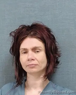 Mugshot of LESLIE ANN BERSNAK booked in Stark County, Ohio on June 23, 2026