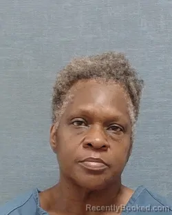 Mugshot of HOLLEY ELAINE BIVINS booked in Stark County, Ohio on June 30, 2026