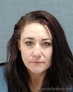 Mugshot of ASHLEE RENEE MCINTOSH booked in Stark County, Ohio on March 28, 2026