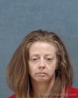 Mugshot of Allyson Renee Vizzuso booked in Stark County, Ohio on August 11, 2026