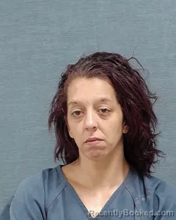 Mugshot of Brittany Jane Johnson booked in Stark County, Ohio on August 10, 2026