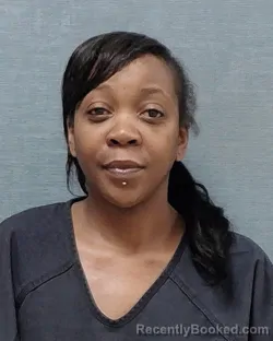 Mugshot of Sheena Cherrelle Williams booked in Stark County, Ohio on September 24, 2026