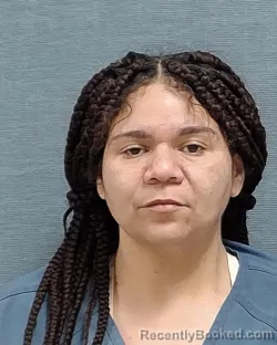 Mugshot of KAYLA MARIE PELLERIN booked in Stark County, Ohio on March 29, 2026