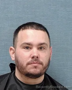 Mugshot of RON EMILO NELSON