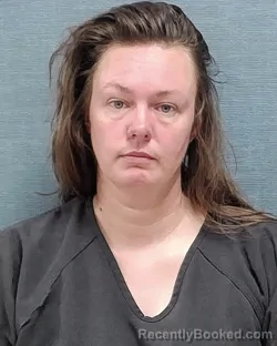 Mugshot of CARLA LYNN ALI-HAMEEN booked in Stark County, Ohio on June 28, 2026