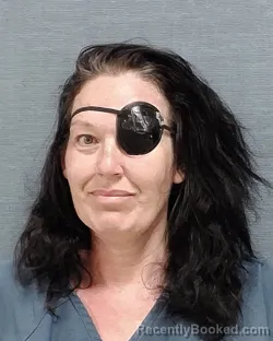 Mugshot of LINDSAY MICHELE TRELFA booked in Stark County, Ohio on June 24, 2026