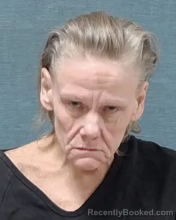 Mugshot of LINDA ANN FETZER