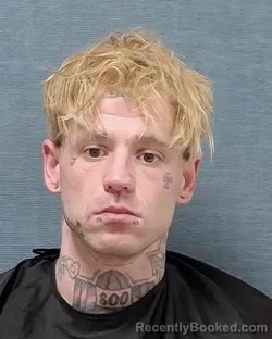 Mugshot of MICHAEL ANTHONY ELLER