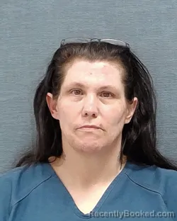 Mugshot of KAROL ANN WILLIAMS booked in Stark County, Ohio on June 27, 2026