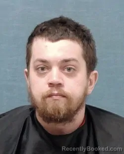 Mugshot of DAVID LEE BROWN