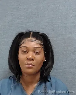 Mugshot of LAQUITA NICHELLE KNIGHT booked in Stark County, Ohio on April 1, 2026