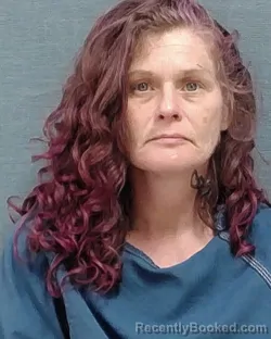 Mugshot of MELISSA ANN DAVIDUK booked in Stark County, Ohio on March 23, 2026