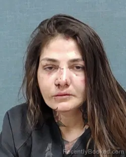 Mugshot of PATRICIA MARIE DAVIS booked in Stark County, Ohio on March 8, 2026