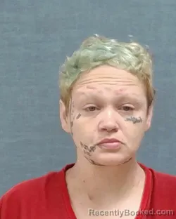 Mugshot of BRITTANY DIANE LANDERS booked in Stark County, Ohio on July 1, 2026
