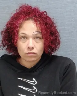 Mugshot of DARIENNE KAY MILLER booked in Stark County, Ohio on March 26, 2026