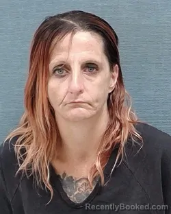 Mugshot of CRYSTAL LAVONNE LOSEY booked in Stark County, Ohio on July 3, 2026