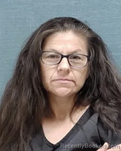 Mugshot of HEATHER CAUNDER FERDIN booked in Stark County, Ohio on June 10, 2026