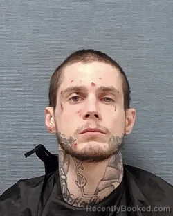 Mugshot of MICHAEL ANTHONY MALLOY
