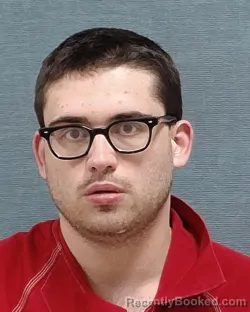 Mugshot of DYLAN MATTHEW SWOGGER booked in Stark County, Ohio on March 26, 2026