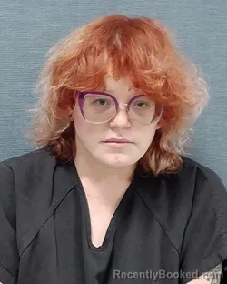 Mugshot of Hallie Alexandra Fitzelle