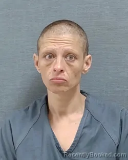 Mugshot of ERICA MARIE BUTUSOV booked in Stark County, Ohio on May 19, 2026