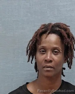 Mugshot of SALENA LEE booked in Stark County, Ohio on April 29, 2026