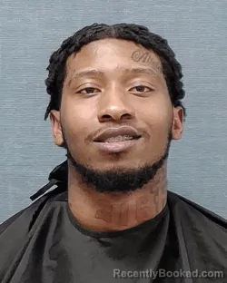 Mugshot of DYLAN AMIRE BURGESS