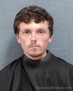 Mugshot of AUSTON REILLY NEALE BECKER-HORNER booked in Stark County, Ohio on June 29, 2026