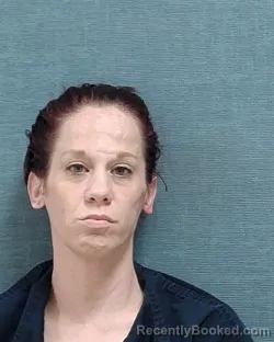 Mugshot of SAVANNA LEE LEE booked in Stark County, Ohio on June 30, 2026