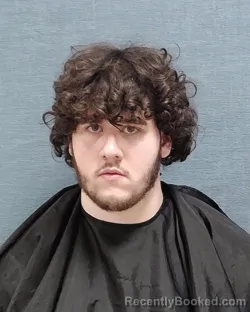 Mugshot of ANDRE CARLITO LEE