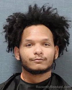 Mugshot of KE'ANDRE NE'SEAN DE'CARLO MCDONALD