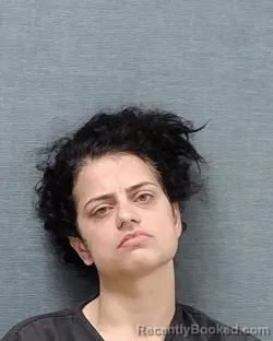 Mugshot of Emilee Dawn Wells booked in Stark County, Ohio on September 17, 2026