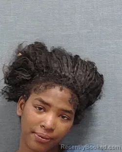 Mugshot of NADIRA ELIZABETH MONIQUE EVERETT booked in Stark County, Ohio on March 22, 2026