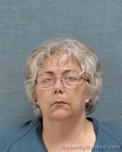 Mugshot of TERRI NINER booked in Stark County, Ohio on August 5, 2026