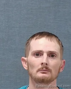 Mugshot of JOE WILTON MCELROY