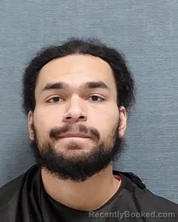 Mugshot of NATHANIEL JOEL LEE WYATT