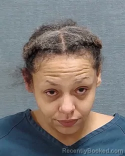 Mugshot of Ashley Dolly booked in Stark County, Ohio on August 2, 2026
