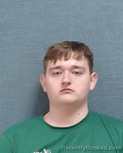 Mugshot of BRENDON JAMES DANES