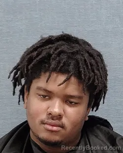 Mugshot of TERRY L ALLEN