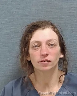 Mugshot of BRITTANY LAURIE LONG booked in Stark County, Ohio on March 23, 2026