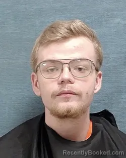 Mugshot of DALE JAMES PETRY booked in Stark County, Ohio on March 25, 2026