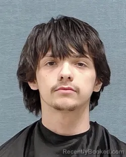 Mugshot of TAEVIN ARMAUNEE GROSS booked in Stark County, Ohio on March 29, 2026