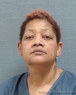 Mugshot of BEVERLY RENEE WILKERSON booked in Stark County, Ohio on April 4, 2026