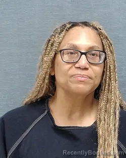 Mugshot of SIOBHAN PATRICE HAINES booked in Stark County, Ohio on April 22, 2026