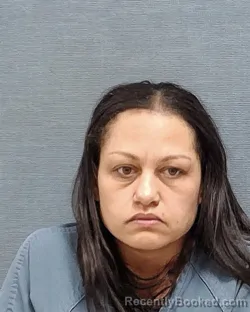 Mugshot of HEATHER LOUISE HARLESS booked in Stark County, Ohio on June 10, 2026