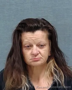 Mugshot of Misty Lee Reckart booked in Stark County, Ohio on August 1, 2026