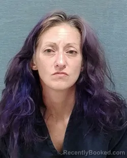 Mugshot of DANIELLE MARIE HUMERICKHOUSE booked in Stark County, Ohio on June 28, 2026
